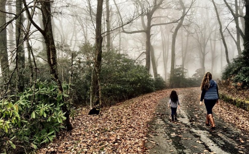 Intro To Our Miracle (A Very Special&nbsp;Series!)